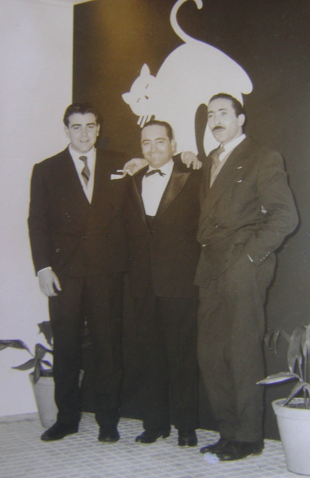 o gato era simbolo do Muxito