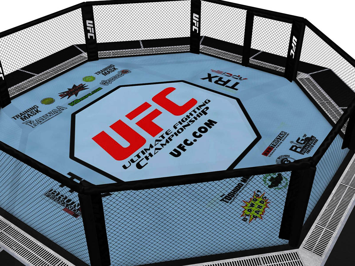 Octógono do UFC