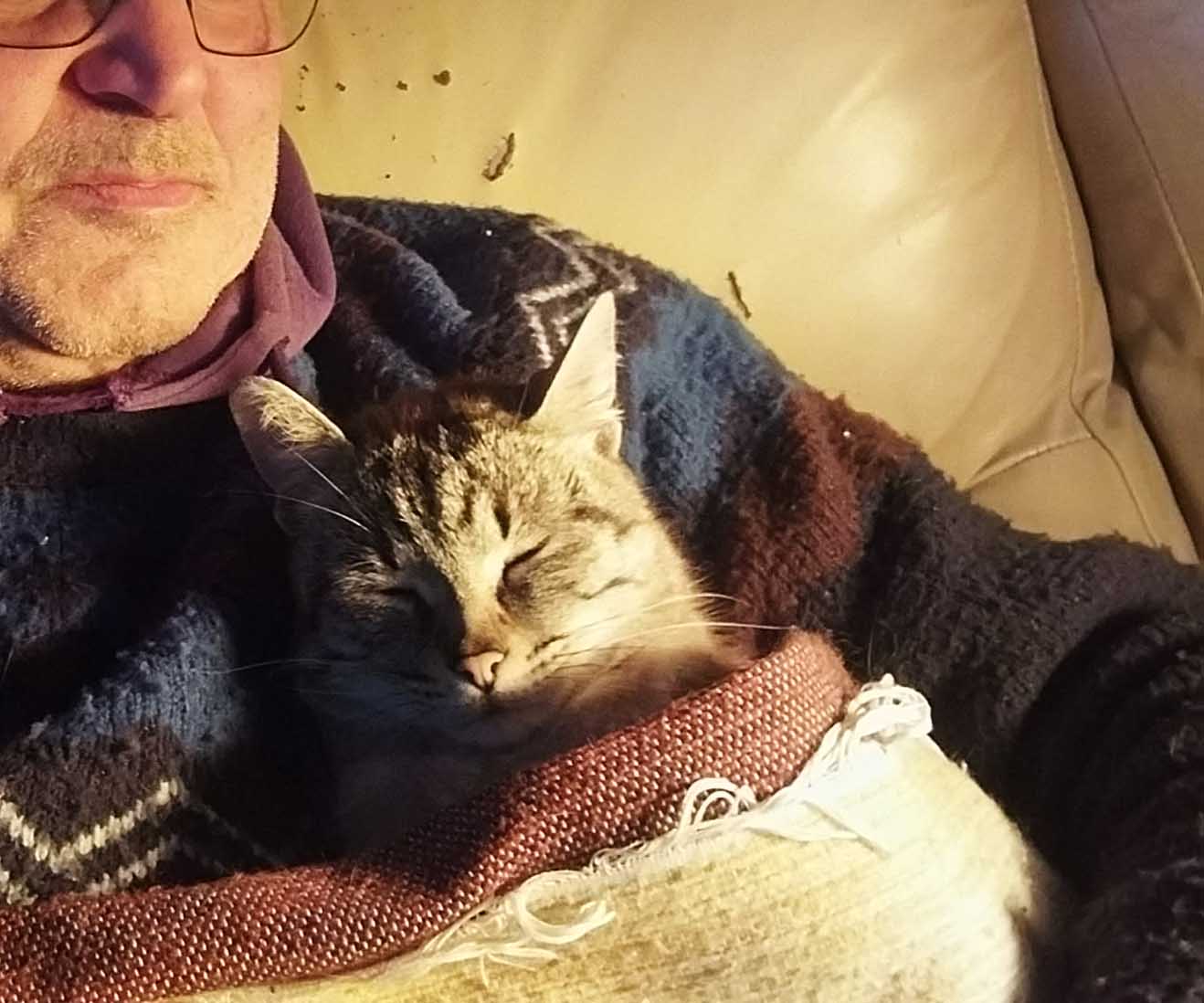 Vem se encostar a mim e acaba por dormir debaixo do meu braço