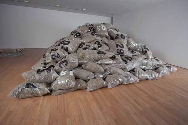 Arte conceptual