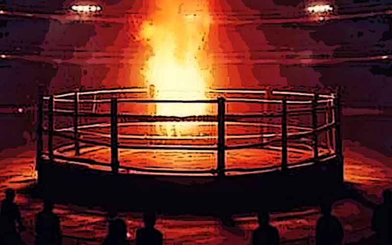 Desportos de Combate, lutadores e torneios