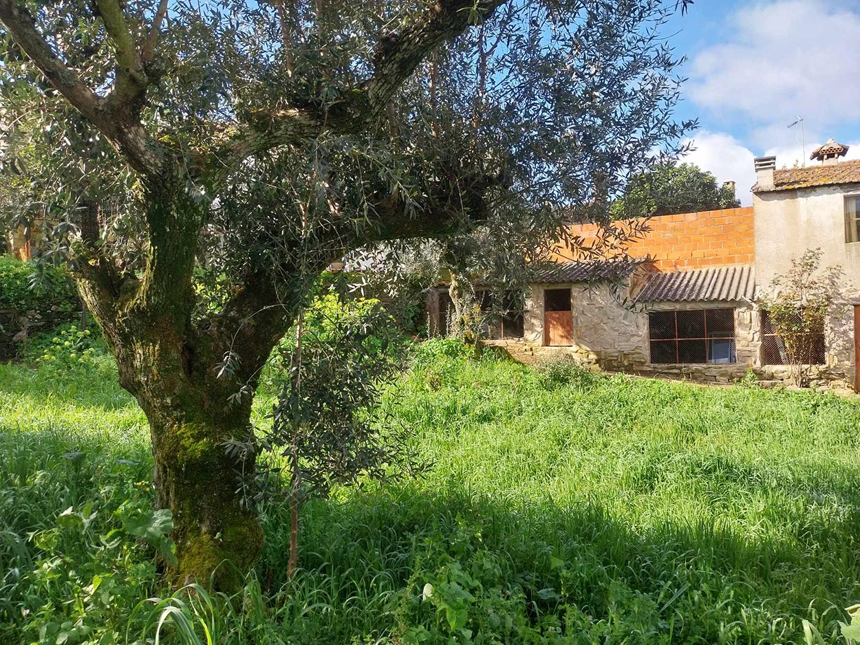 Alojamento Local » venda com reserva futura
